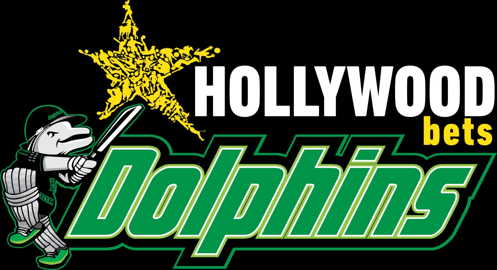 Hollywood Dolphins